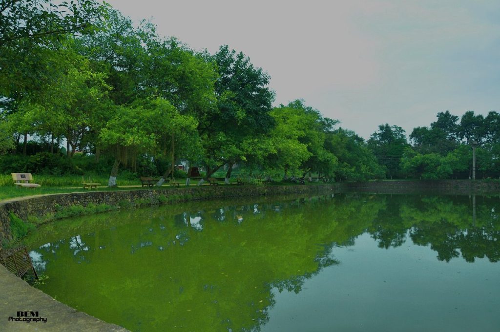 Trại hè con cháu trong họ: gắn kết thế hệ mới